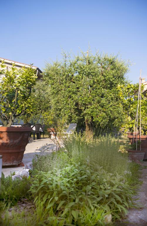 Dolce Sosta Hotell Lucca Eksteriør bilde